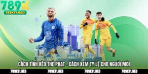 Cách Tính Kèo Thẻ Phạt - Cách Xem Tỷ Lệ Cho Người Mới