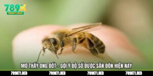 Mơ Thấy Ong Đốt - Gợi Ý Bộ Số Được Săn Đón Hiện Nay