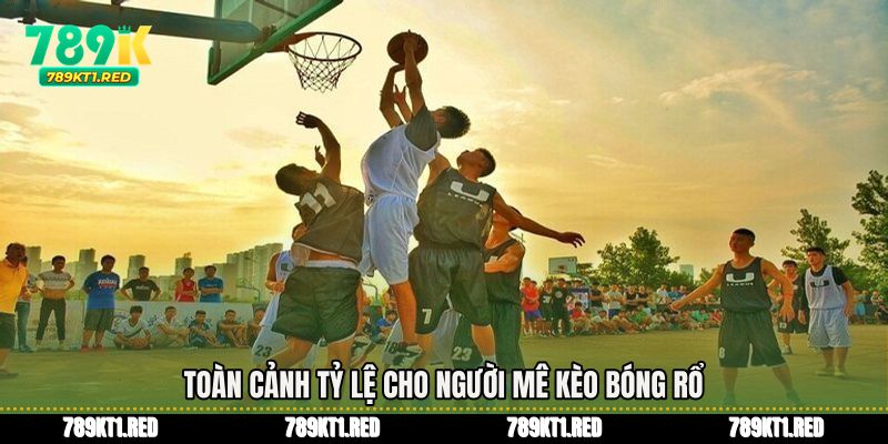 Toàn cảnh tỷ lệ cho người mê Kèo bóng rổ